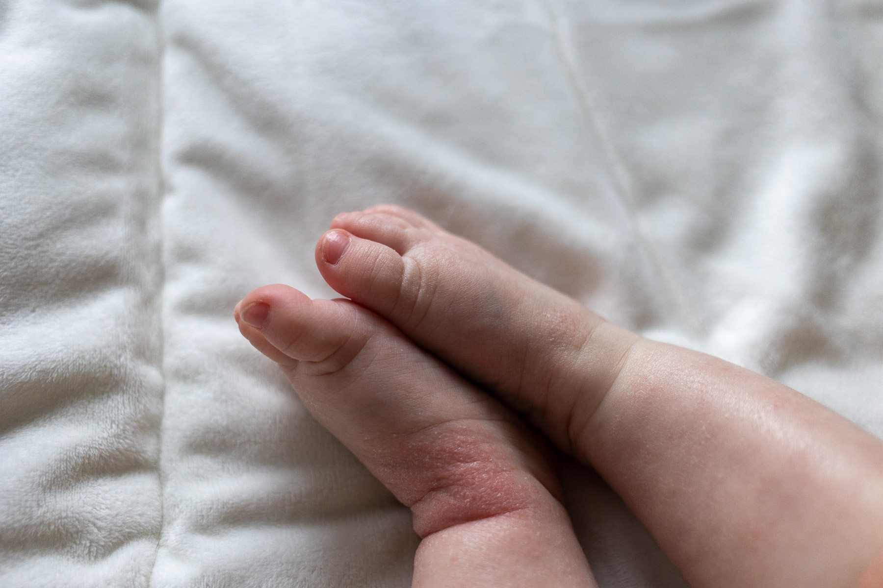 Close-up of a baby's feet resting on a soft, white blanket.
