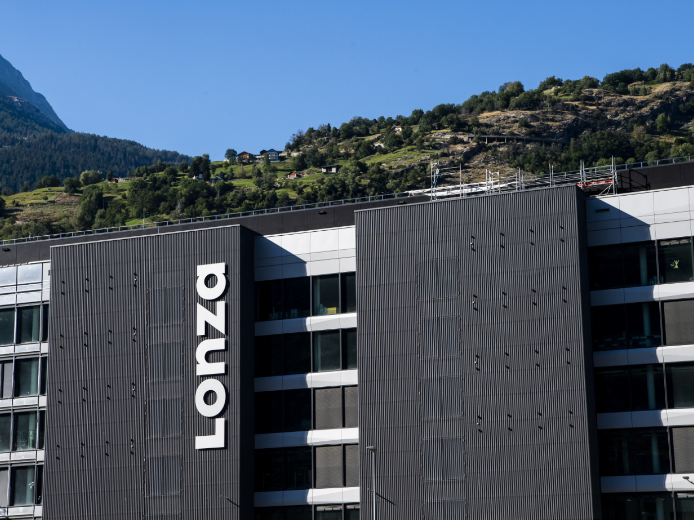 Lonza sells its capsules division