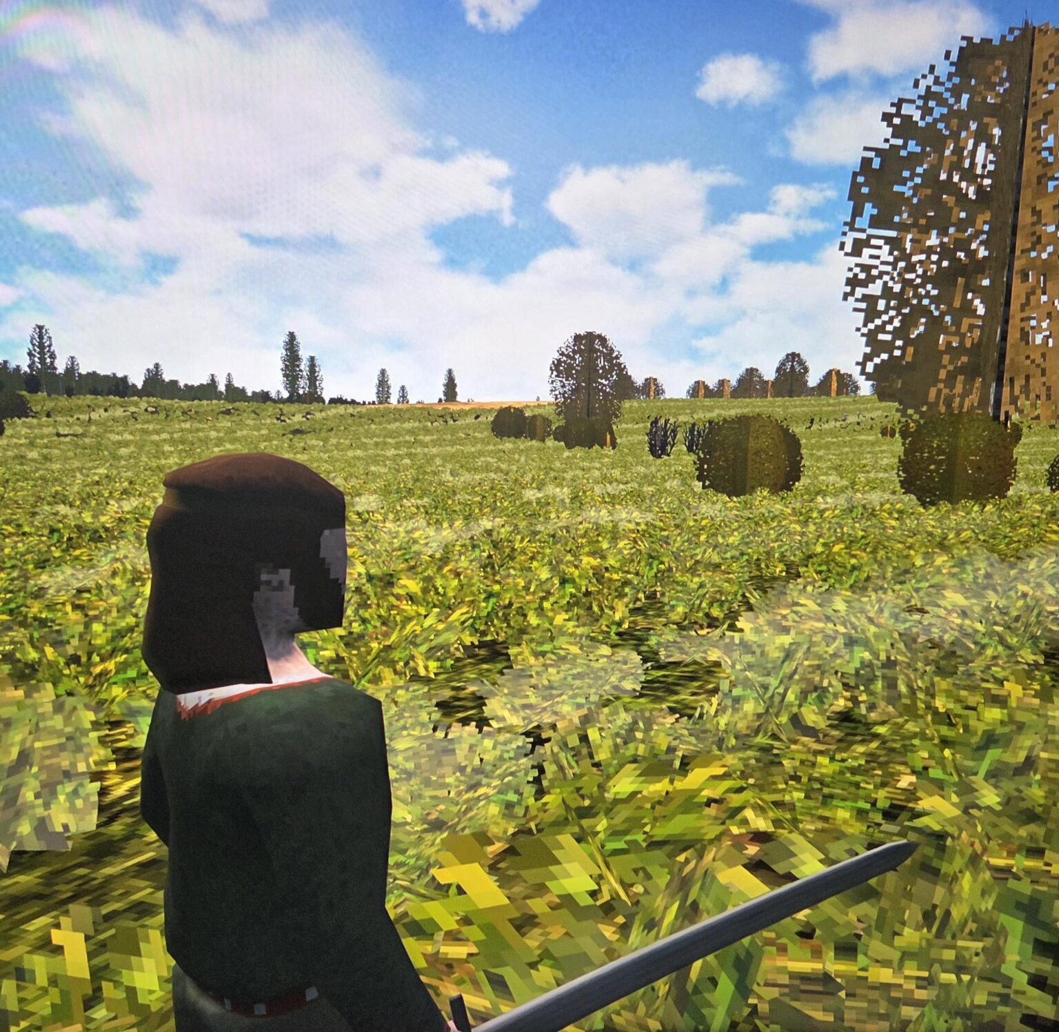 A picture of my computer game about the ancient freedom struggle