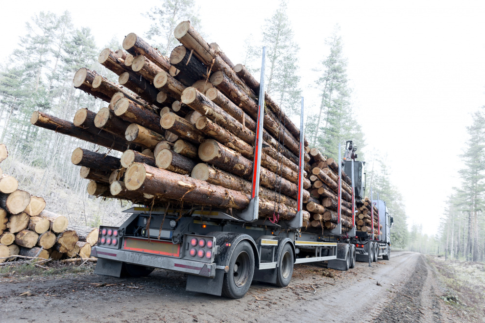 Finland’s standing-sale pulpwood prices fall again in February, declines ease Finland’s standing-sale pulpwood prices fall again in February, declines ease