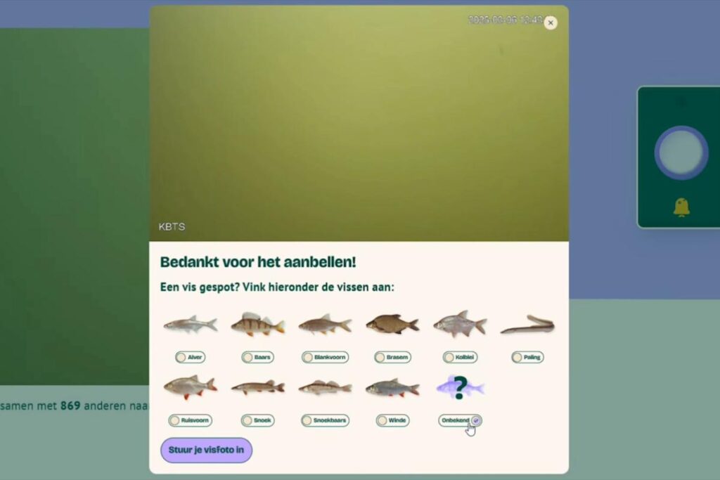 Spring fish migration begins in the Netherlands with help from innovative ‘Fish Doorbell’ Spring fish migration begins in the Netherlands with help from innovative 'Fish Doorbell'