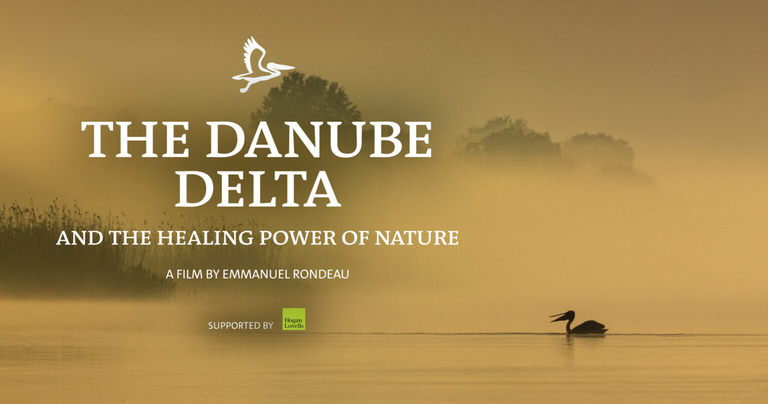 New documentary reveals the healing power of rewilding in Ukraine’s Danube Delta