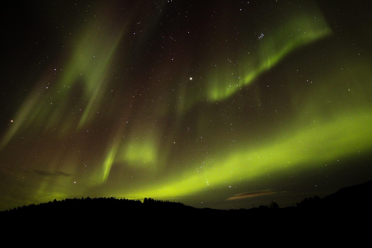 Lofoten Northern Lights 💫