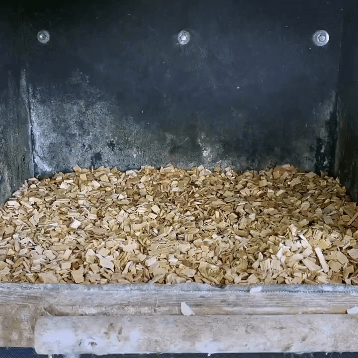 In light of recent events - 🔥It took 65 days for Common Kestrel eggs to transform into beautiful birds.