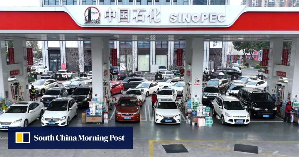 China’s size, strength insulates its energy security amid geopolitical shocks: lawmaker