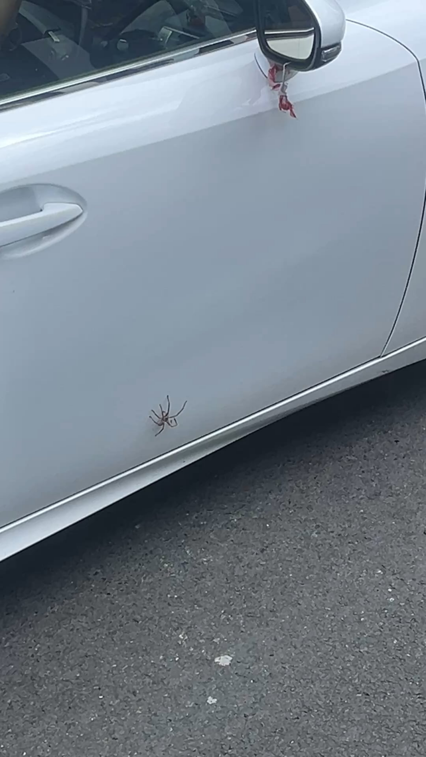 Anyone know this guy and can warn him his life is in danger?