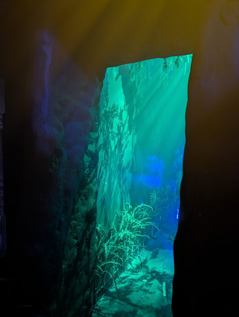 Dark Forest Escape Room