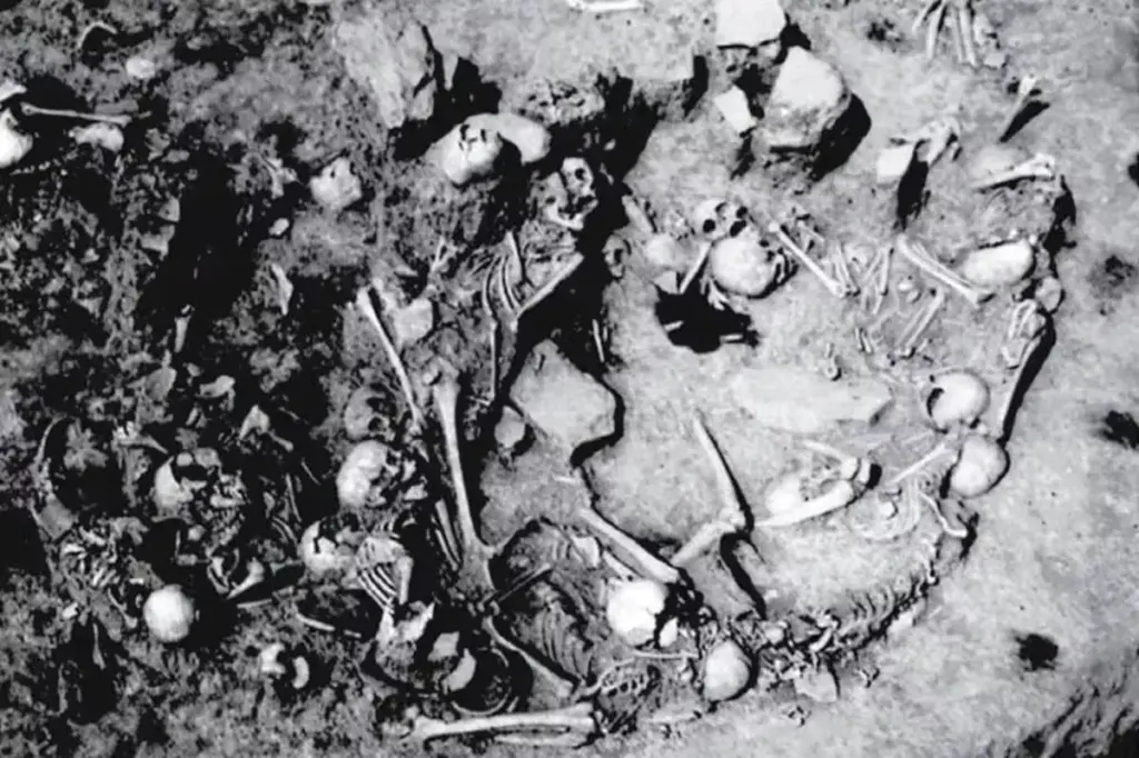 Mass grave with 77 bodies discovered in Serbia