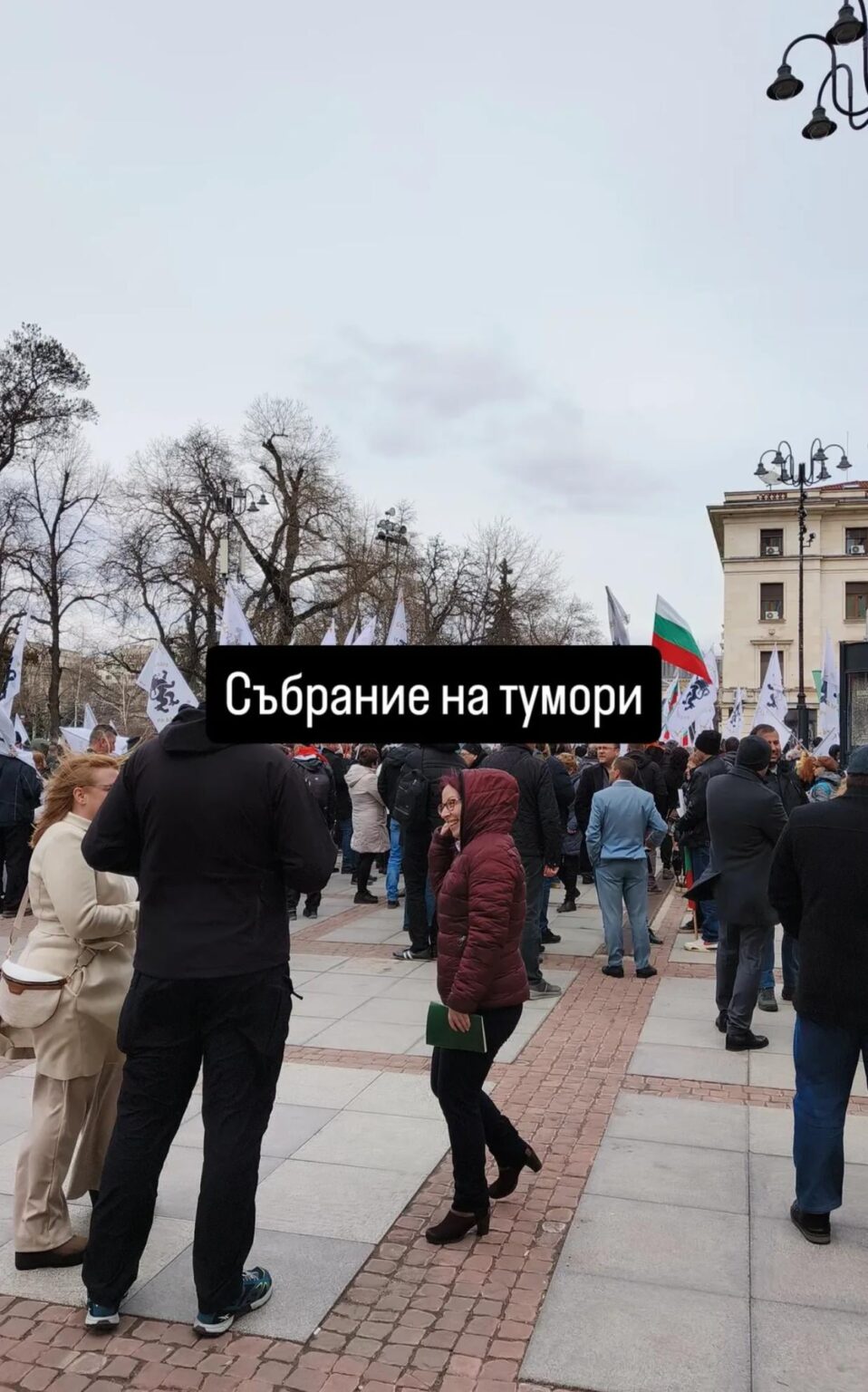 They are doing circuses again