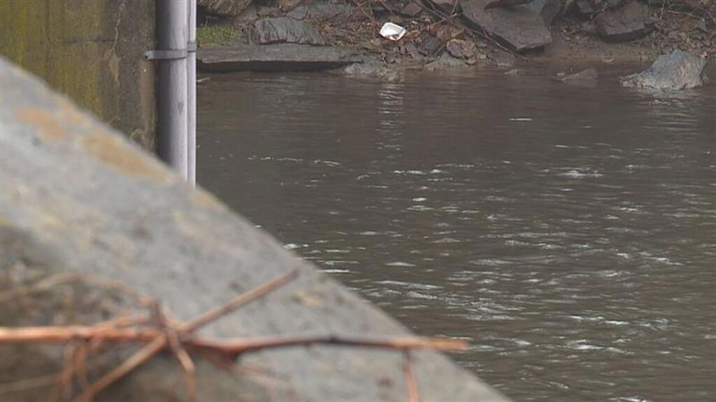 Environmental advocates raise concerns after York County salvage yard fire and oil spill