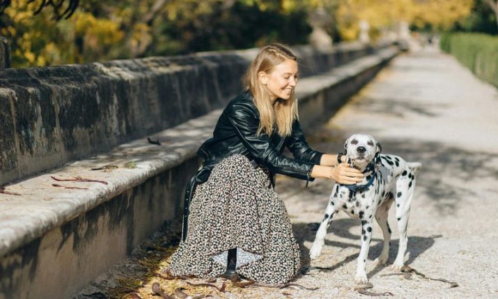 Dog ownership in Europe revealed and where Croatia ranks Dog ownership in Europe revealed and where Croatia ranks