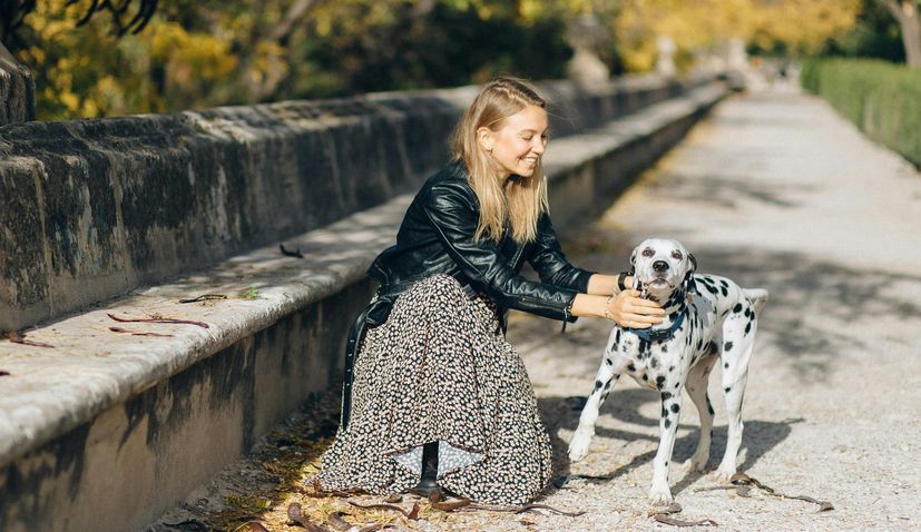 New data reveals which European countries love dogs the most. Hungary tops the list with 50% of households owning dogs, while Croatia sits mid-table with 29%.