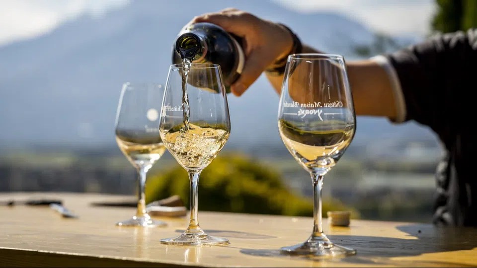 Wine and aperitif platters: an integral part of French-speaking Switzerland