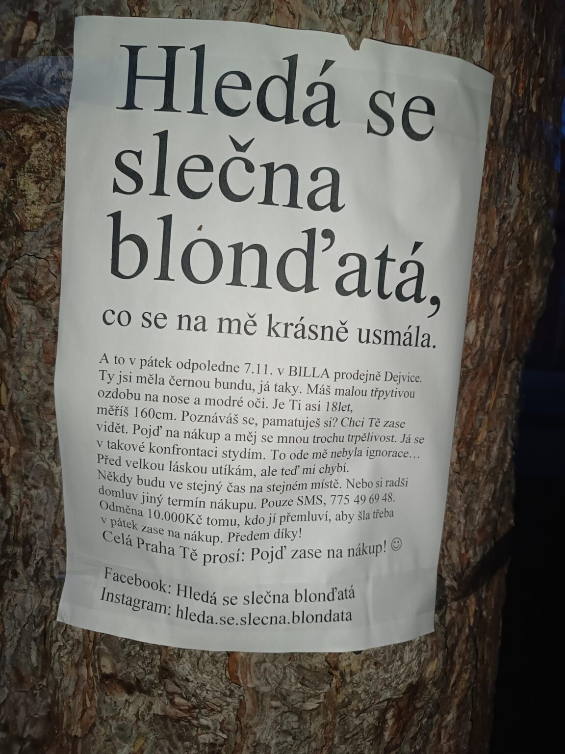 Looking for a blonde lady...