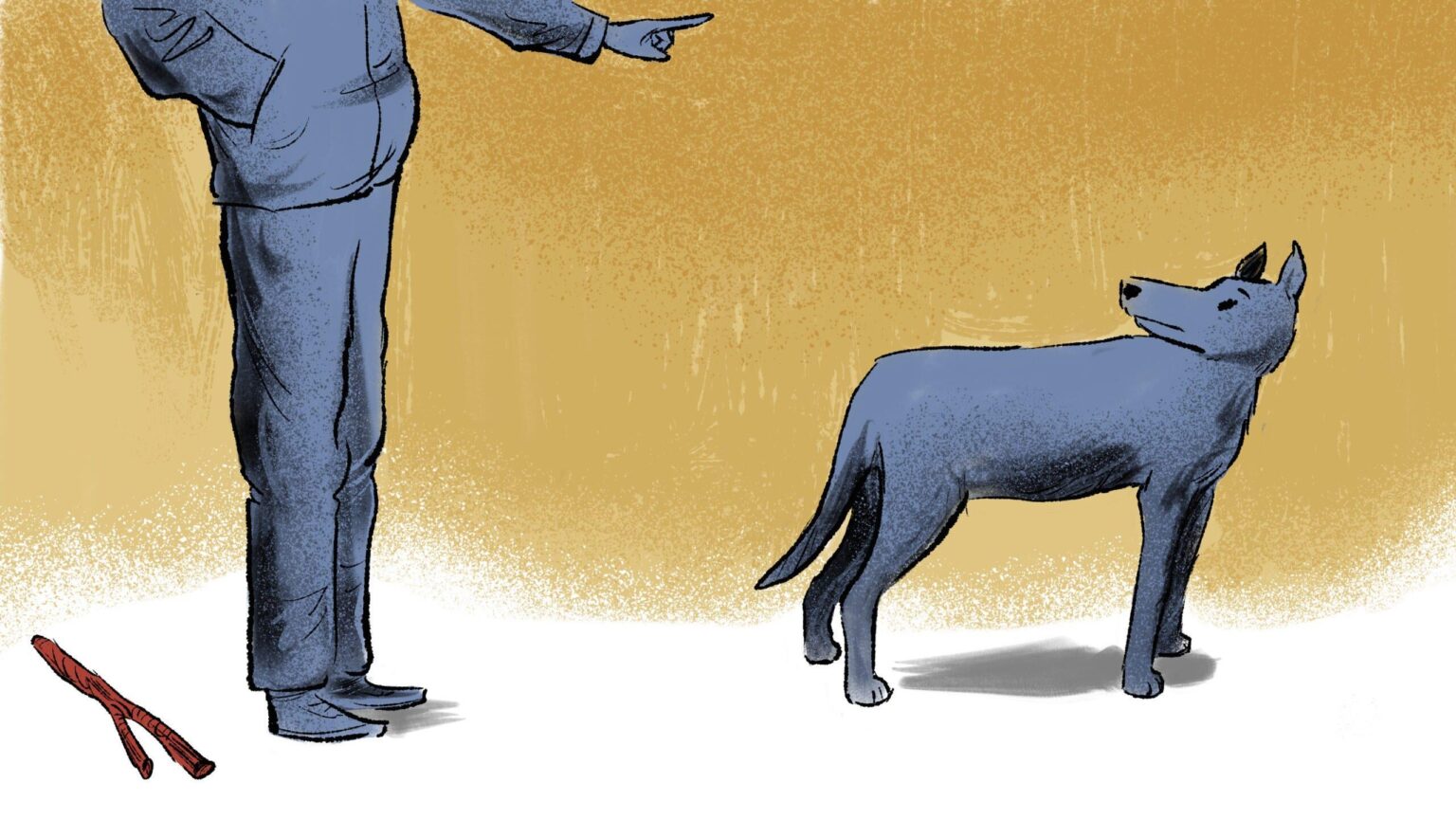 People who abandon a pet