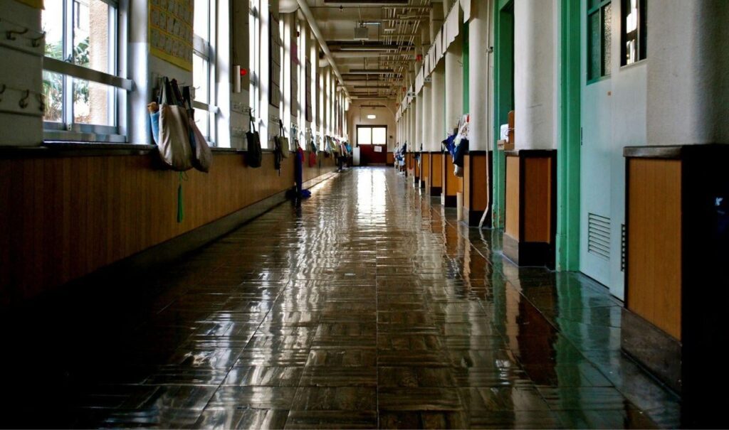 Fratelli d'Italia has drawn up a list of 41 schools that did not give adequate space to the commemoration of the victims of the foibe and the Julian-Dalmatian exodus and asked the Minister of Education to account for it