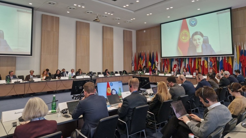 Kyrgyzstan shares its gender development experience to international community in Austria