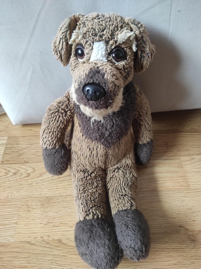 A quest to find my childhood toy