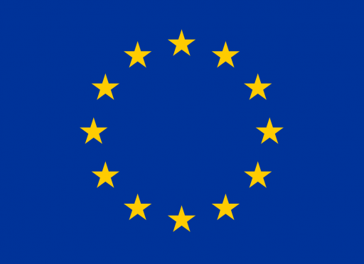 Call for Expression of Interest: European Union Visitors Program 2027