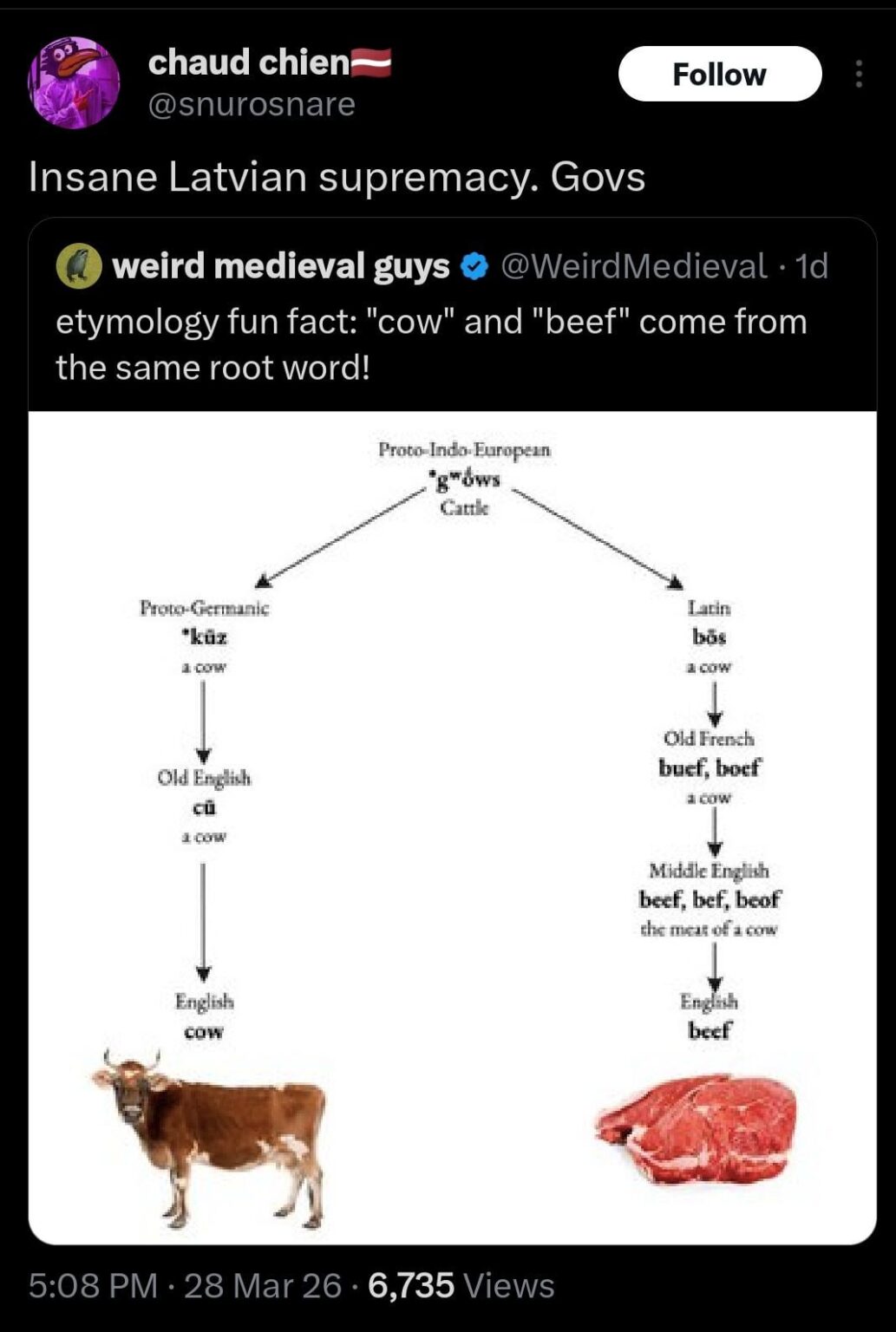 Cow.