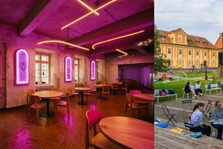 Facebook NGP, Anežka