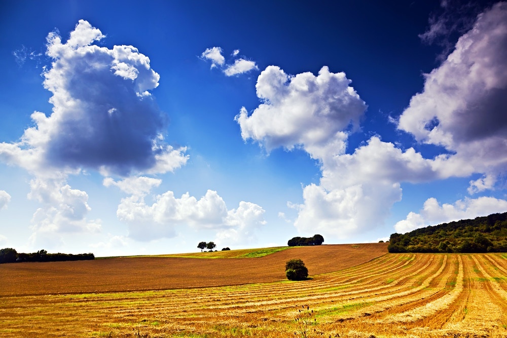 France rolls out aid as farm costs surge on war impact