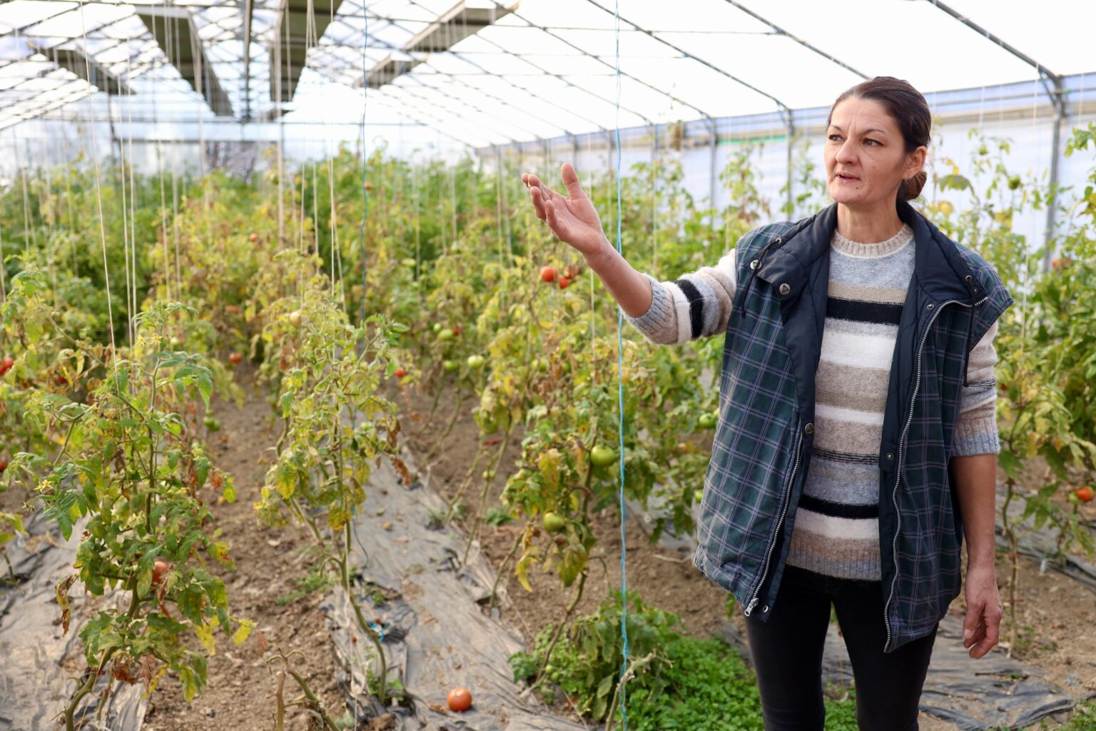 Rural women farmers in Bosnia and Herzegovina advance food security and equality