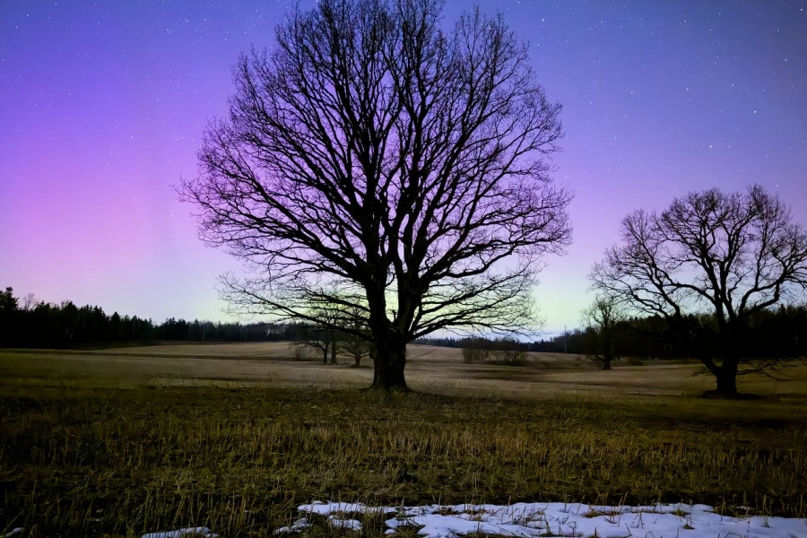 Northern Lights spotted in Belarus Northern Lights spotted in Belarus