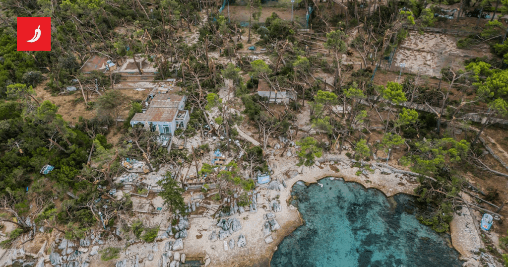 Kerum's son-in-law was legally convicted because of the concession. The county refuses to take it away from him