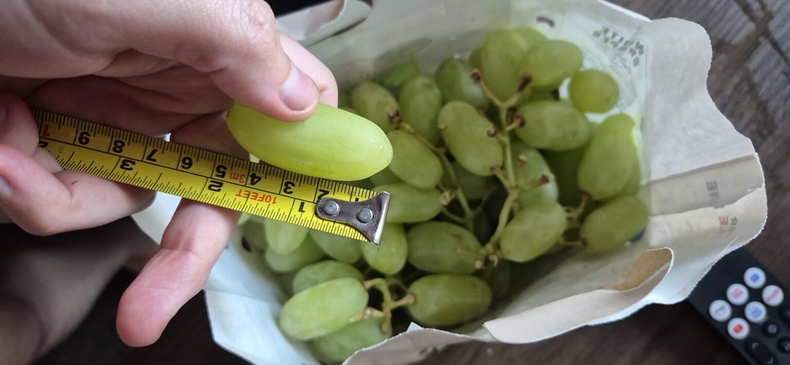 Giant grapes