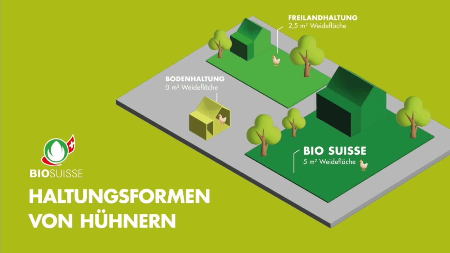 Eggs and what their labels mean