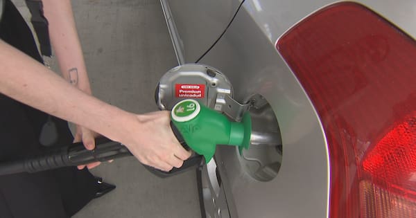 Govt releases unscheduled fuel update after diesel concerns