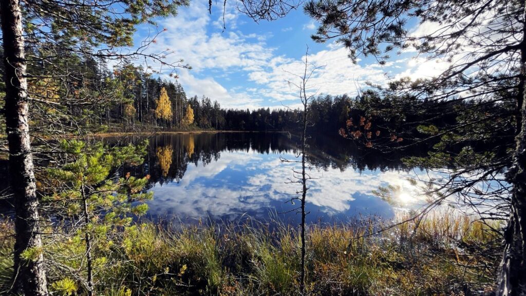 Visit Finland invites travellers to experience Lakeland with free nature retreats parallax background