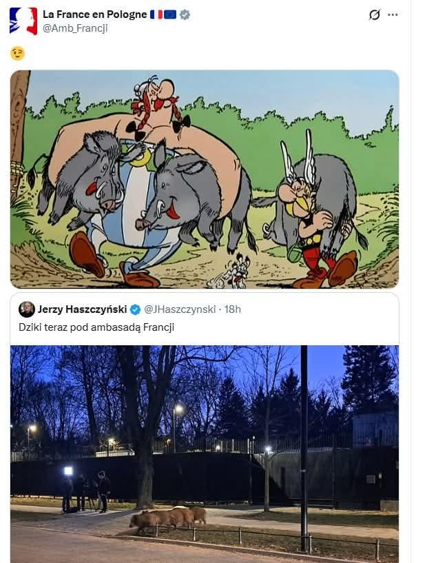 The wild boars came to the embassy and the embassy responded in an interesting way