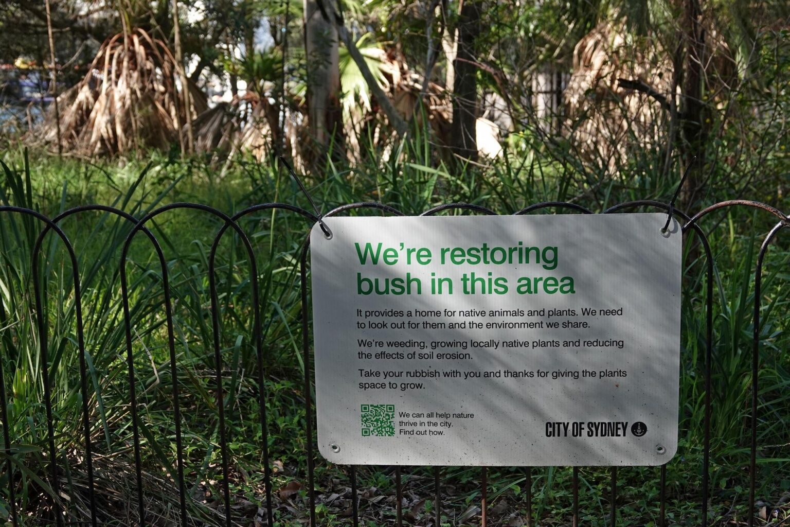 Good news: bush is making a comeback in certain parts of Sydney (such as Blackwattle Bay)