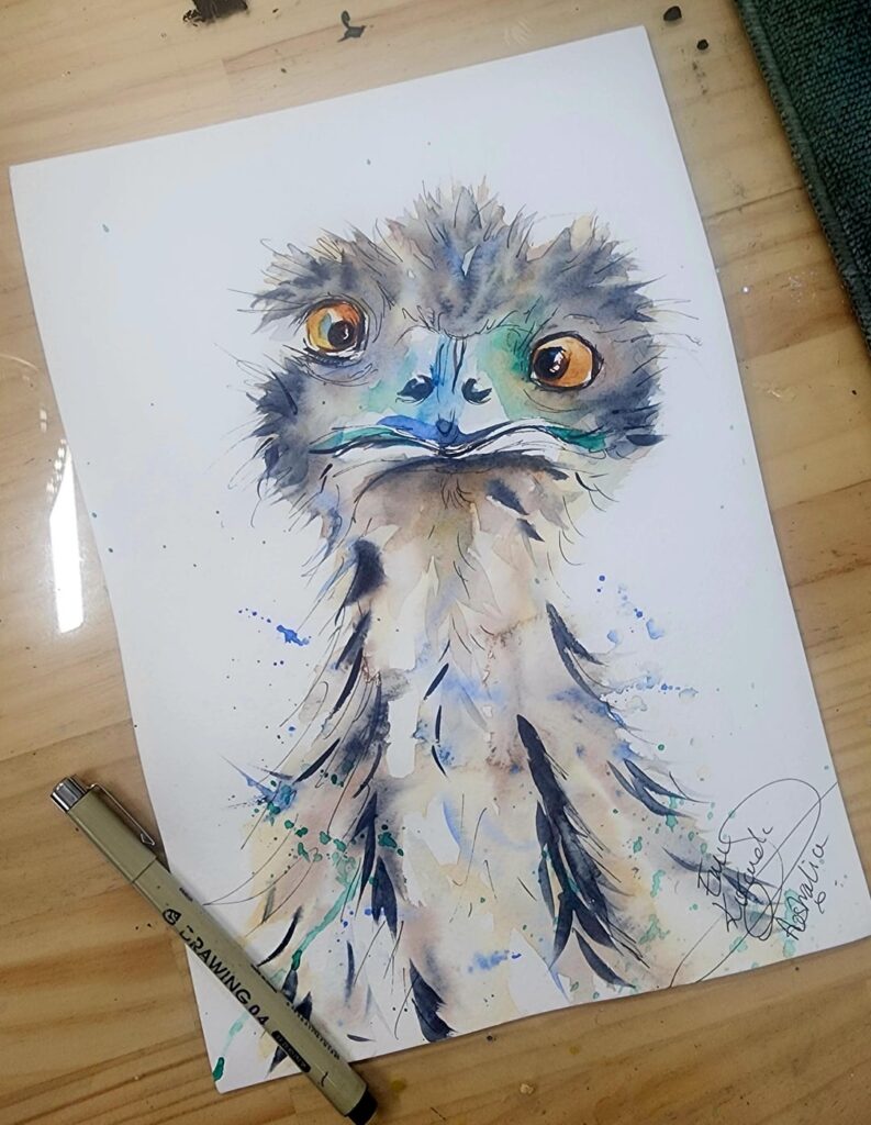 Gday from a cheeky Emu, any suggestions for next painting?