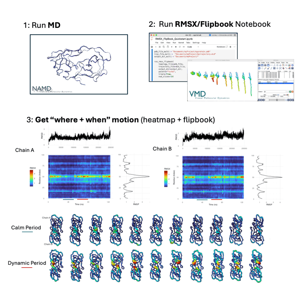 I'm a 4th year Biochemistry PhD student and I made a tool to help researchers see when and where proteins move [OC]