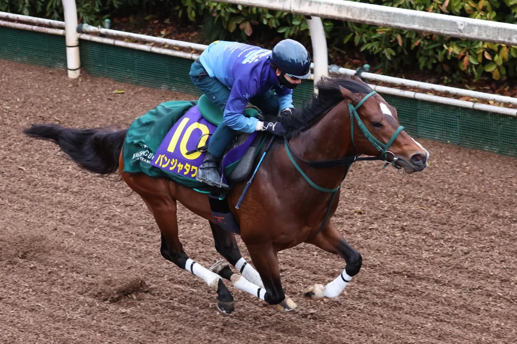 Takamatsunomiya Kinen