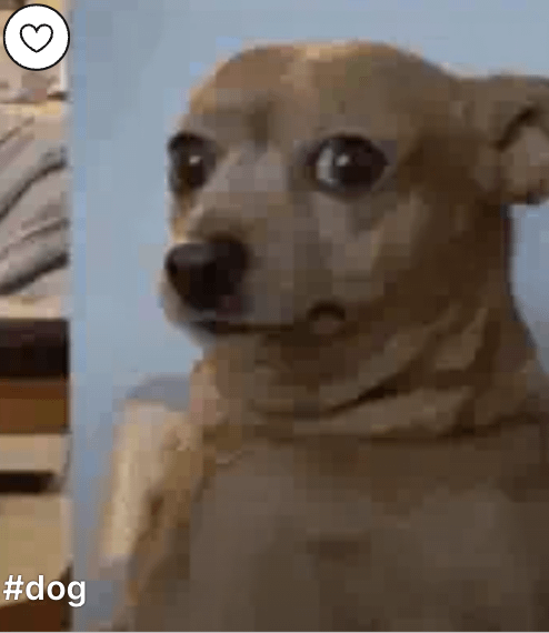 I was badly scratched by this earthquake. Just to remember everything...