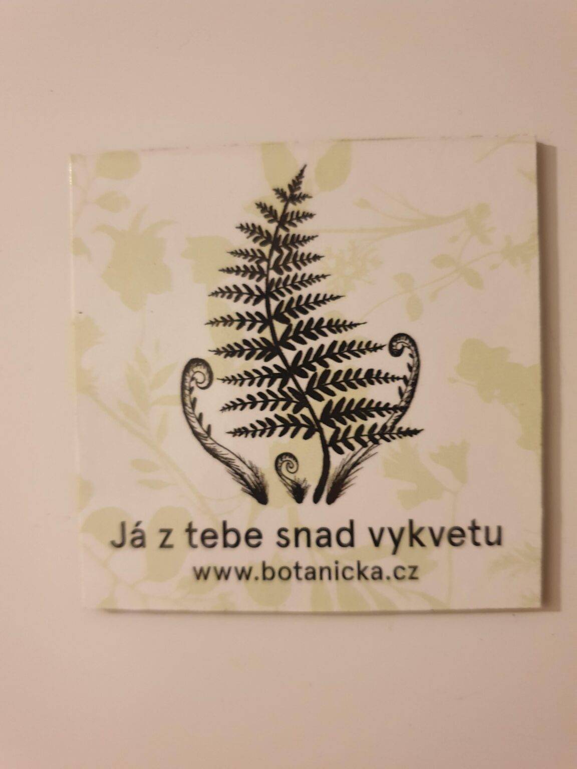 Can someone translate please