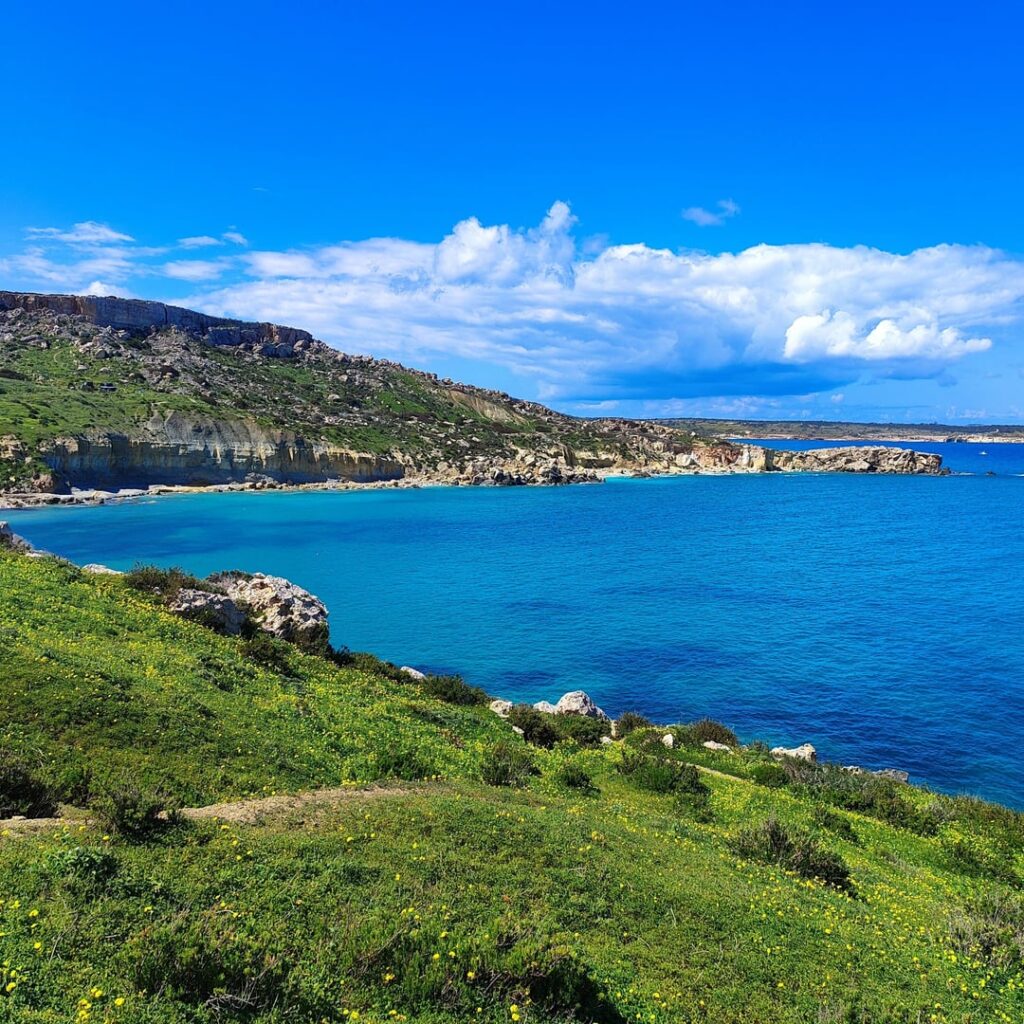 Behaviour, Mellieha (21/03/26)