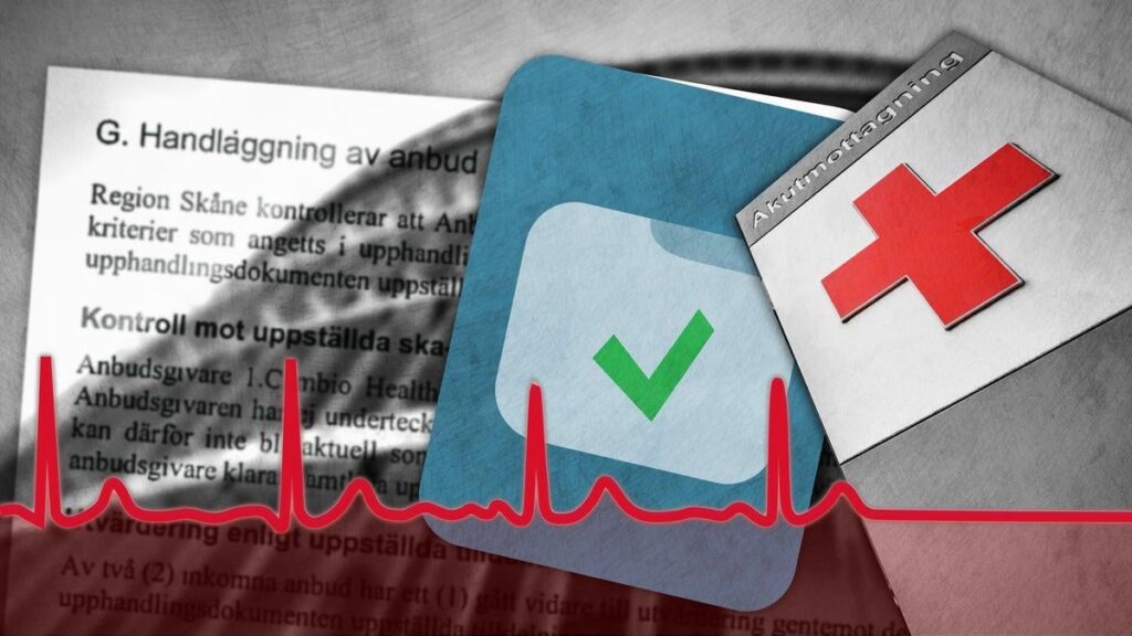 This is how the politicians were tricked into buying into the Millennium scandal system