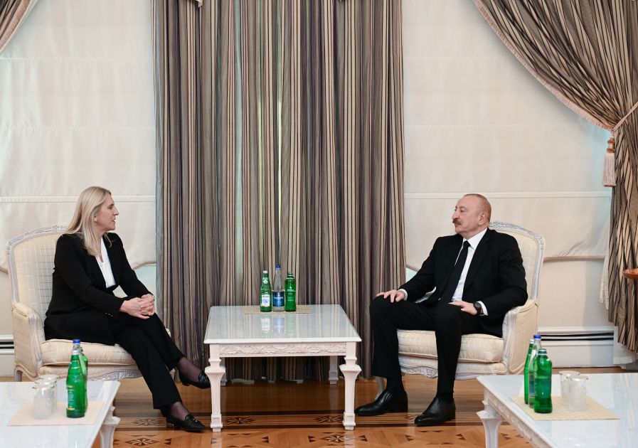President Ilham Aliyev meets with Member of Presidency of Bosnia and Herzegovina [PHOTO/VIDEO] - Gallery Image