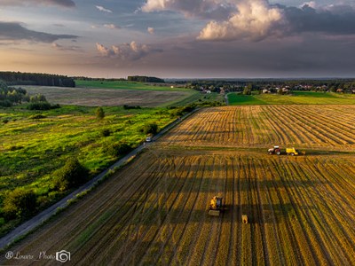 Building climate-resilient agriculture in Europe: an economic perspective