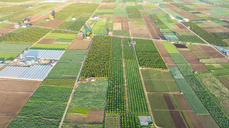 Climate-resilient agriculture may benefit farmers’ incomes | Press releases