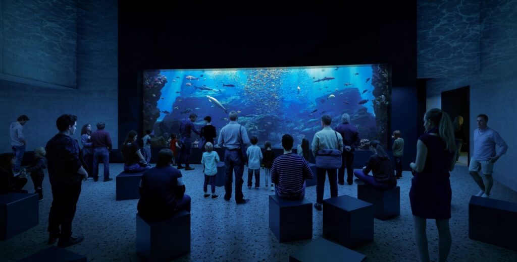 Czechia’s largest shark aquarium is being built at Olomouc Zoo
