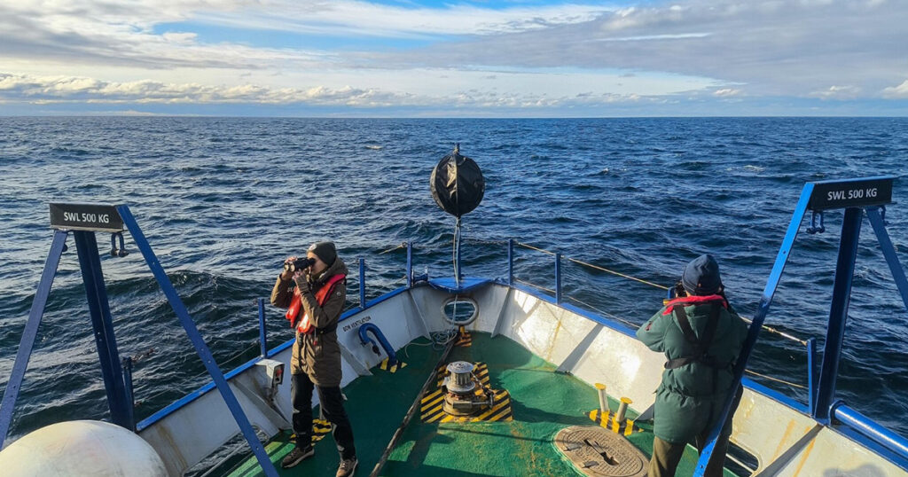ELWIND Launches Bird Survey For Offshore Wind Project Area In Latvia ELWIND Launches Bird Survey For Offshore Wind Project Area In Latvia