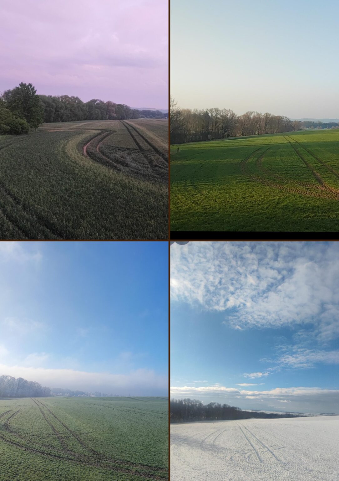 The four seasons of a typical landscape in northern Germany