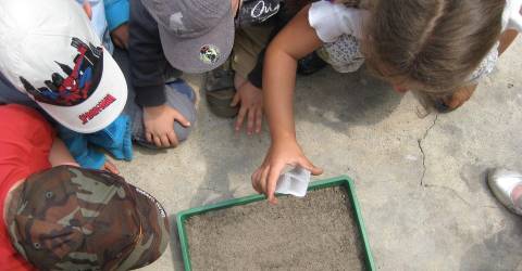 Environmental education grant open