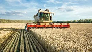 Belarus secures 100% local seed supply for spring planting